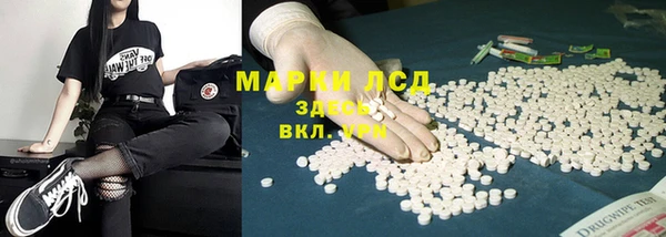 прущий лед Богданович