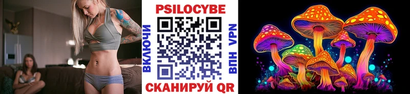 Псилоцибиновые грибы MAGIC MUSHROOMS  наркотики  Каменка 